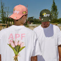 APF
