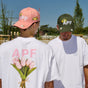 APF