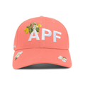 Casquette