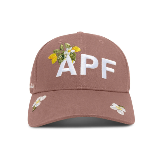 APF Casquette Brown