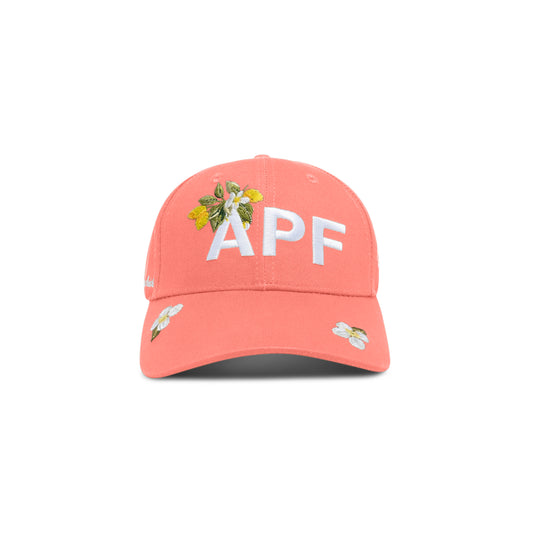 LEMON BLOSSOM CORAL PINK CAP - CAPROSE