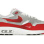 Nike Air Max 1