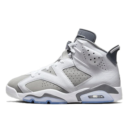 Air Jordan Air Jordan 6 Cool Grey - 384665-100 / CT8529-100