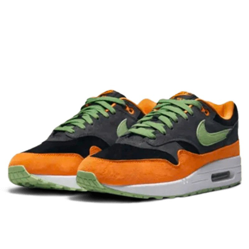 Nike Air Max 1 PRM Duck Anthracite - DZ0482-001