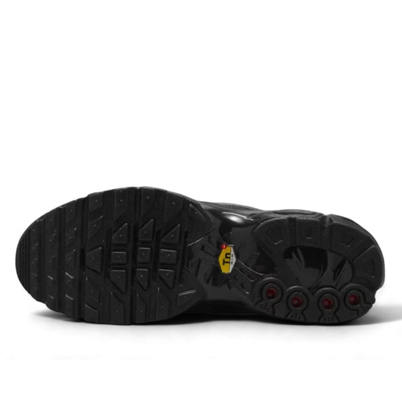 Nike Air Max Plus Tiempo Black White - HF0074-001