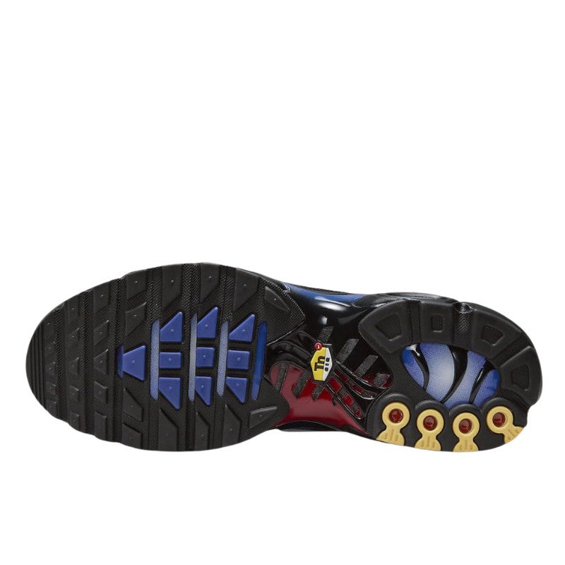 Nike Air Max Plus 25th Anniversary - FV0393-001