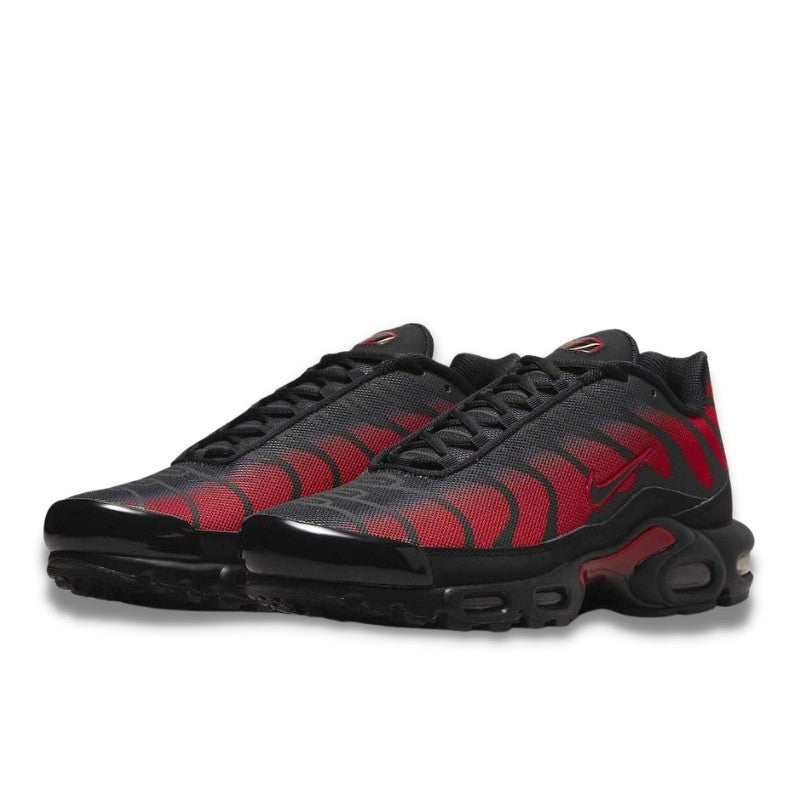 Nike Air Max Plus Bred Reflective - DZ4507-600
