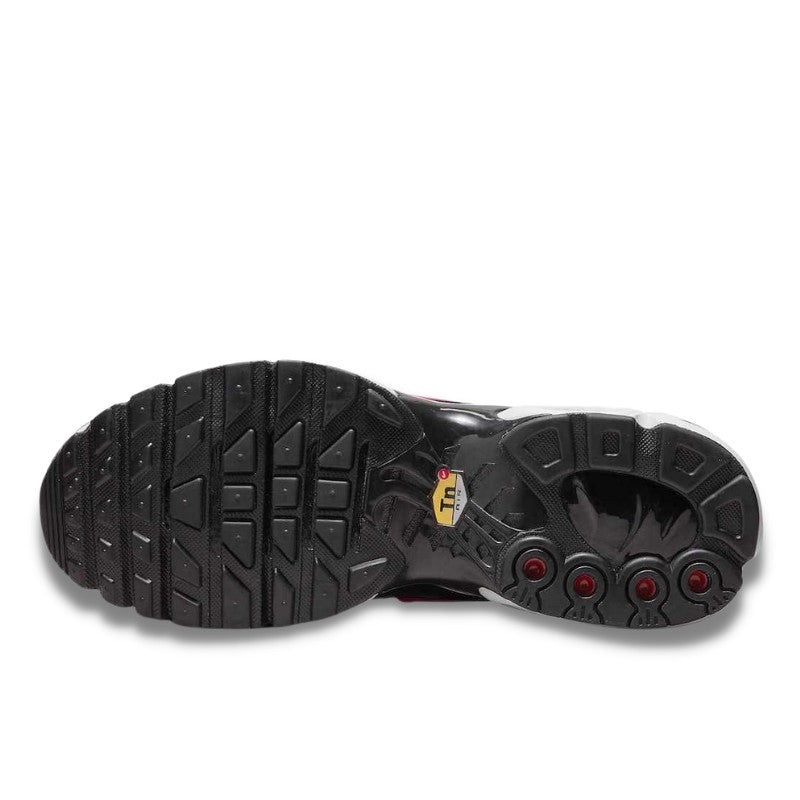 Nike Air Max Plus Dusk - DZ3670-500