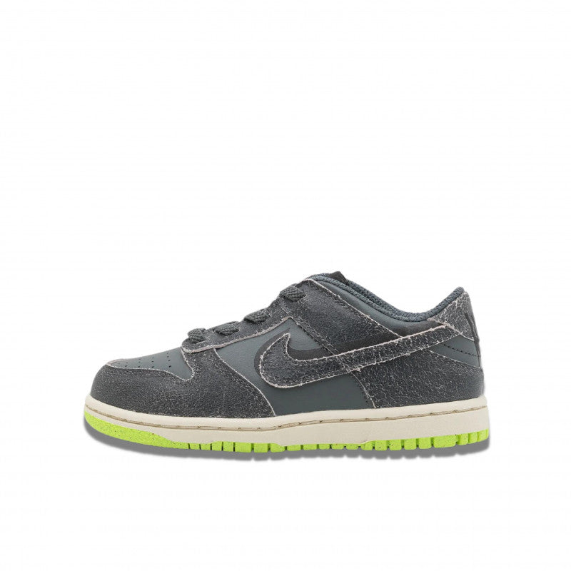 Nike Dunk Low Swoosh Shadow Iron Grey Enfant (PS) - DQ6216-001