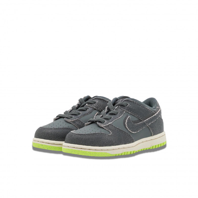 Nike Dunk Low Swoosh Shadow Iron Grey Enfant (PS) - DQ6216-001